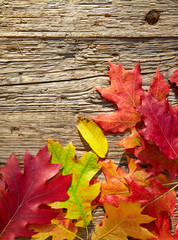 Obraz premium Autumn leaves on a wooden table. Background style