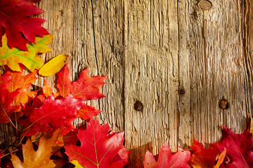 Naklejka na ściany i meble Autumn leaves on a wooden table. Background style