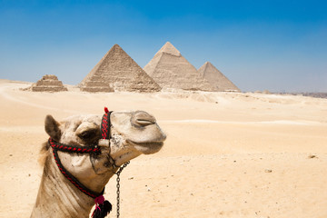 pyramids of Giza in Cairo, Egypt.