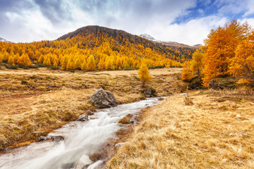 torrente in Valle della Forcola a Livigno - Valtellina (IT)