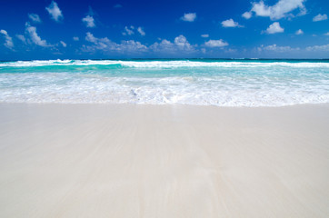  beach and tropical sea