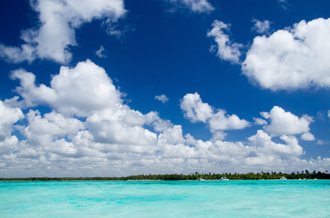  beach and tropical sea