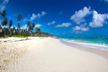  beach and tropical sea