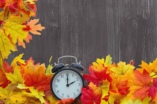 Autumn Leaves Background