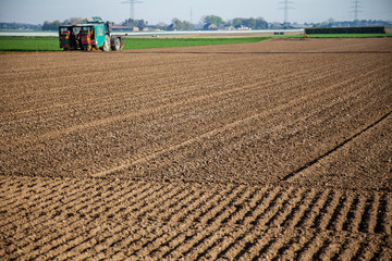 Modern agriculture machines on asparagus field