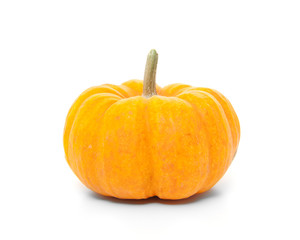 Fine grown pumpkin. All on white background