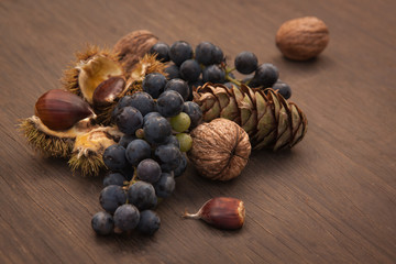 Herbstfrüchte auf Holz