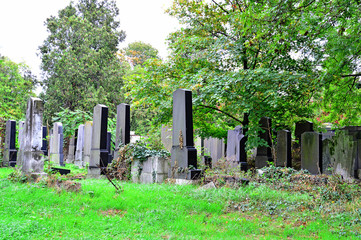Naklejka premium Grabsteine am Friedhof
