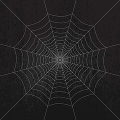 Spider web