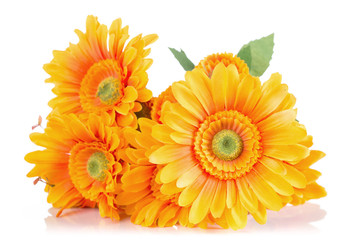 Bouquet of zinnia flowers