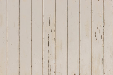 Grunge Weiß Holz Hintergrund 