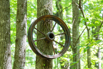 Old Spoked Wheel Hanging from Tree