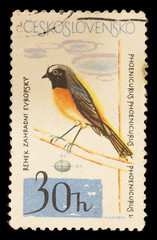 Postage stamp printed in Czechoslovakia showing a common redstart, Phoenicurus phoenicurus