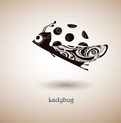 Hand drawn ladybug
