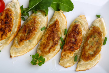 Japan traditional cuisine - Gyoza