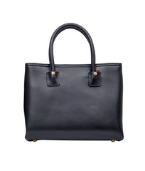 luxury female handbag isolated on white background