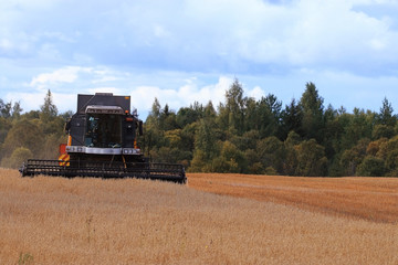 Obraz premium tractor in a field to harvest