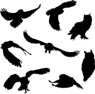 silhouettes of birds. owl, eagle owl