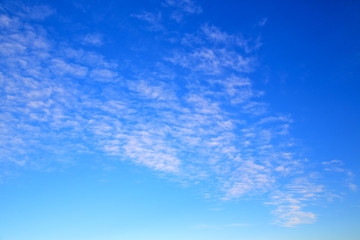 Naklejka na ściany i meble in the blue sky white soft clouds