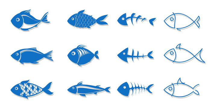set of fish for your design