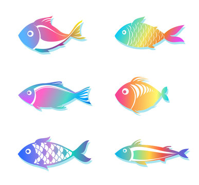rainbow fish silhouettes