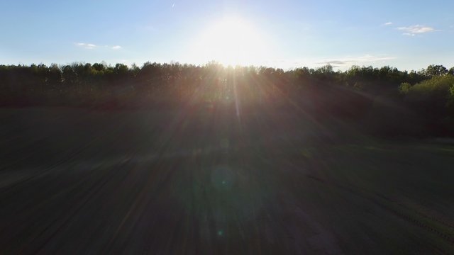 4K aerial view flight over summer fields behind the trees 