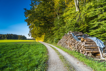 Stapel Brennholz am herbstlichen Waldrand zum Einheizen im Winter