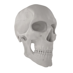 Scull4