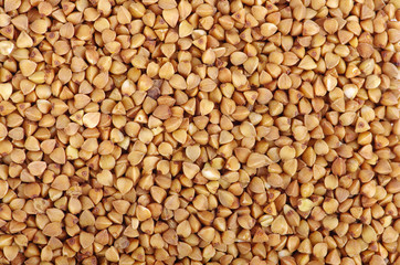  buckwheat