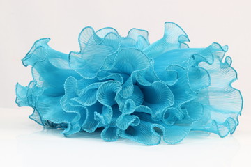 Pressing on a blue chiffon white background.