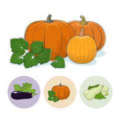 Icons Pumpkin, Eggplant,  Zucchini
