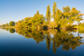 Spiegelung von Bäumen im Herbst/Kanal in Halle-Saale