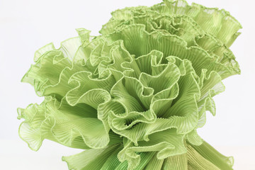 Pressing on a green chiffon white background.