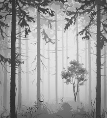 Obraz premium forest