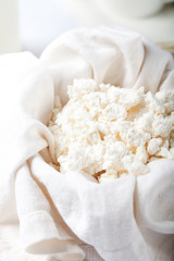 Cottage cheese, milk, yogurt on a white background