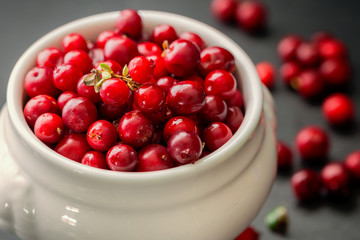 Preiselbeeren Nahaufnahme-Cowberry Closeup