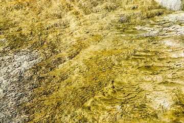 Close Up of Yellowstone Thermal Feature