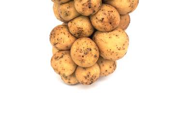 Longkong fruit or Lansium parasiticum is tropical fruit in south east Asia on white background