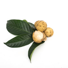 Longkong fruit or Lansium parasiticum is tropical fruit in south east Asia on white background