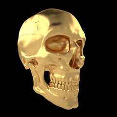 Scull6