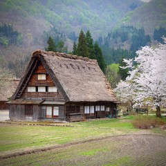 Fototapeta na wymiar Shirakawa village in Japan