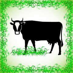 cow. realistic image of the contour object
