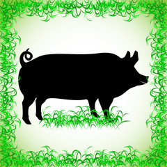 boar. realistic image of the contour object