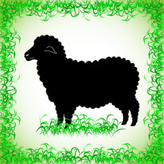 sheep. realistic image of the contour object