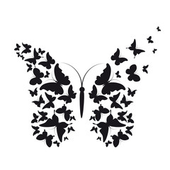 butterflies design