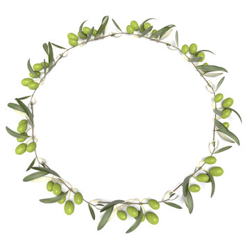 olive branches forming a circle
