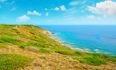 Fototapeta na wymiar green coastline in Sardinia