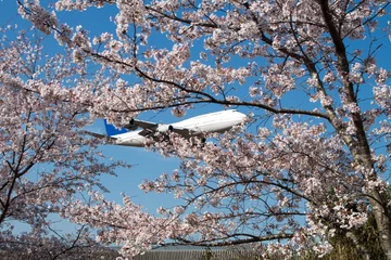 Cercles muraux Fleur de cerisier 桜と飛行機
