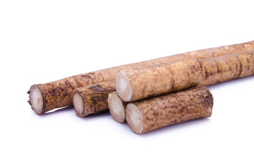 Fresh Burdock roots on white background
