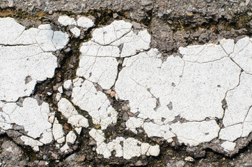 White line on asphalt road crack surface